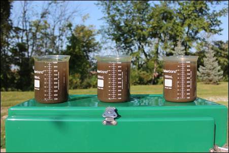 Above are MLSS samples immediately after collection. Below are the same samples after 30 minutes. 